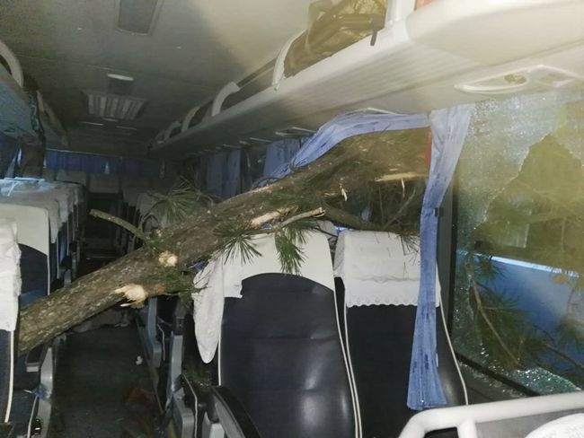 20170817096914.jpg 11111.jpg